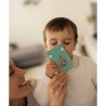Ser joc Happy Families, Gradina - 44 de cartonase, carte si 40 de stickere, Sassi